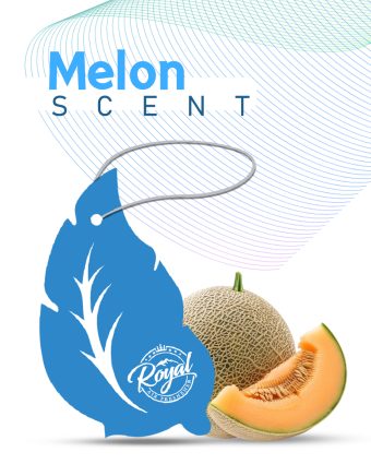 melon plus